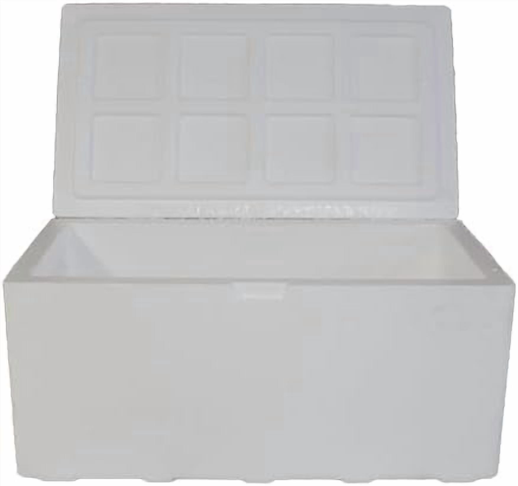 Air Sea Containers | Large Insulated Styrofoam Cooler | 90-Quart Extra Large | Lightweight | Styrofoam Cooler for Shipping | for Frozen Food