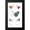 thumbnail image 2 of Blanchard, Emile 12x18 Black Modern Framed Museum Art Print Titled - Butterflies, Plate 23, 2 of 5