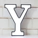 thumbnail image 1 of 2026 Qinwei Led Marquee Letter S-diy Marquee S Up Letter 26 Bet For Wedding, , Bar Rat Letter Y-Min, 1 of 4