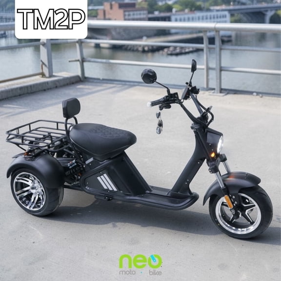 Trimoto Eléctrica TM2P -  55km/h - 2000W