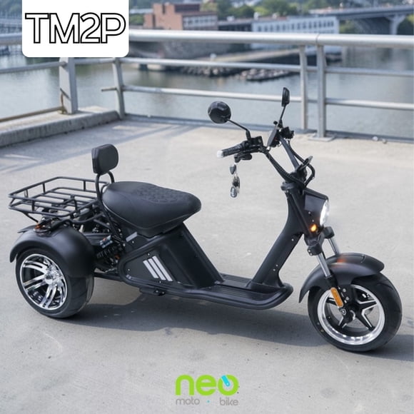 Trimoto Eléctrica TM2P -  55km/h - 2000W