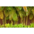 thumbnail image 2 of Gulin, Sylvia 14x10 White Modern Wood Framed Museum Art Print Titled - Hawaii-Maui-Kihei-Palm trees growing along wall, 2 of 4