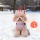 thumbnail image 2 of Para la temporada de invierno: ropa cálida y suave con bandas reflectantes; cómodos conjuntos para cachorros de razas pequeñas, medianas y grandes, 2 of 5
