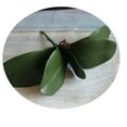 thumbnail image 4 of Ludlz Phalaenopsis Orchid Leaves Real Latex Touch Plants Arrangement, 1Pc Artificial Plant Butterfly Orchid Leaf Garden DIY Home Office Desktop Decor, 4 of 5