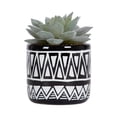 thumbnail image 4 of hometrends Taboo Mini Faux Succulent, 4 of 7
