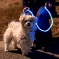 thumbnail image 3 of NiteyLeash - LED Glow in The Dark Pet Dog Leash - Blue, 3 of 6