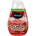 thumbnail image 2 of Renuzit - 1717587 Blissful Apple & Cinnamon Adjustable Gel Air Freshener, 7oz Cone (Pack of 12), 2 of 5