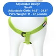 thumbnail image 3 of Arnés para perros Step-in Pawtitas, reflectante, ajustable en forma de S, color verde, 3 of 8