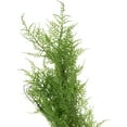 thumbnail image 4 of Northlight Real Touch™️ Cedar Artificial Christmas Garland - 5' x 8" - Unlit, 4 of 5