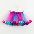 thumbnail image 3 of BAYAIXZ Girls Tutu Skirt Kids Girls Ballet Skirts Costume Party Rainbow Tulle Dance Skirt Rainbow Tutu Tulle Dress Turkey Trot Tutu (Hot Pink,S), 3 of 5