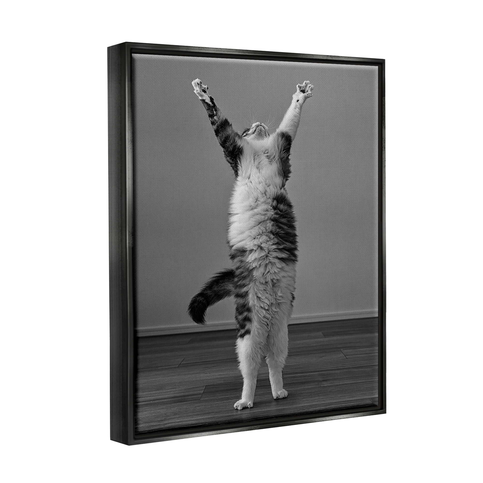 Stupell Industries Funny Cat Victory Pose Animals & Insects Photography Black Floater Framed Canvas Art Print Wall Art, 17 x 21