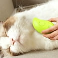 Steamy Cat Brush,3 in1 Cat Steam Brush,Self Cleaning Steam Cat Brush