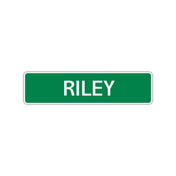 Riley Boys Letter Printed Children Name Label Wall Plaque Decoration Aluminum Indoor Outdoor Sign 4"x13.5"