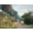 Unframed, variant on Art.com The Sheltered Path, 1873 (Oil on Canvas) Stretched Canvas Print Wall Art by Claude Monet, 24" x 18"