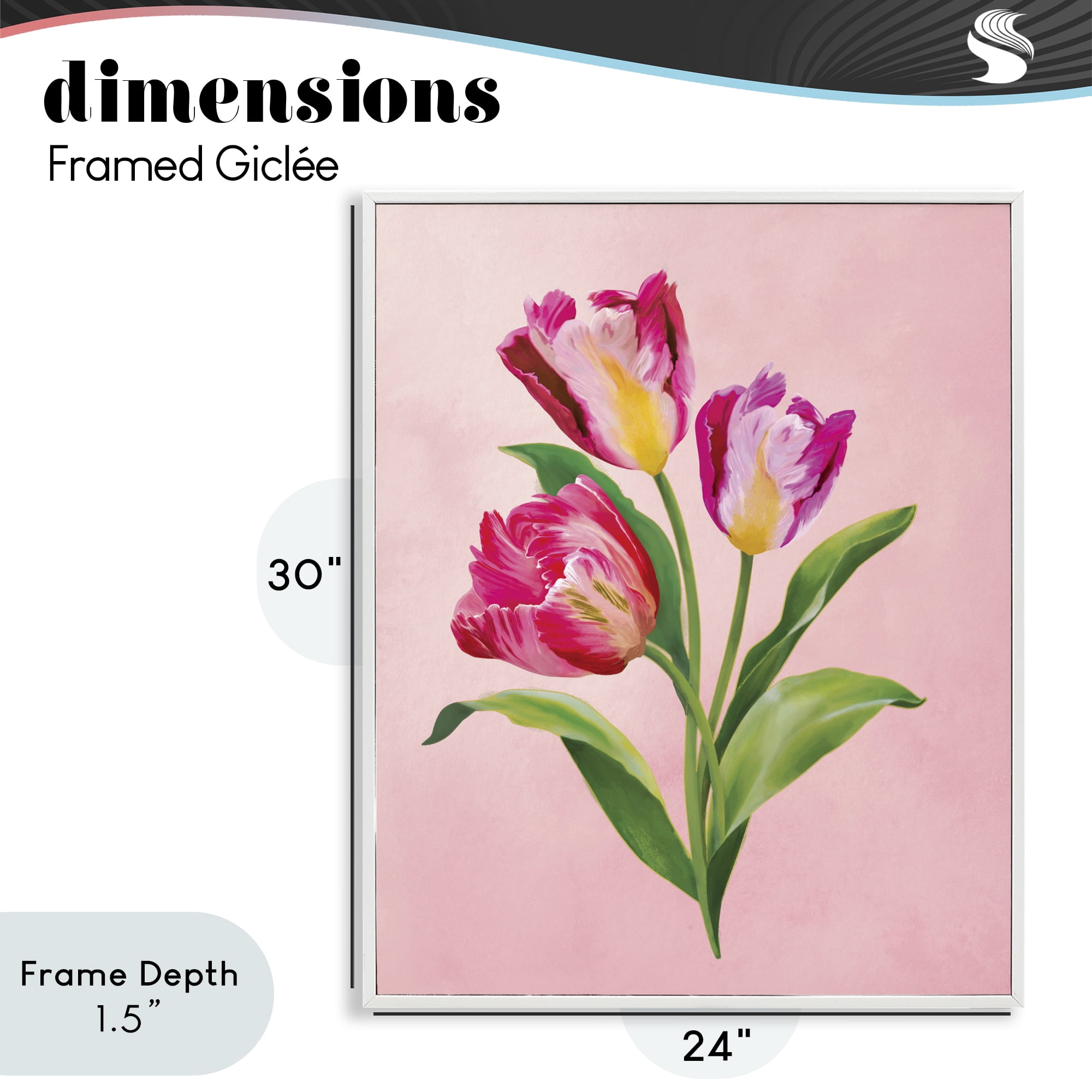 Stupell Industries Vibrant Magenta Tulips White Framed Giclee Art, design by Diane Neukirch