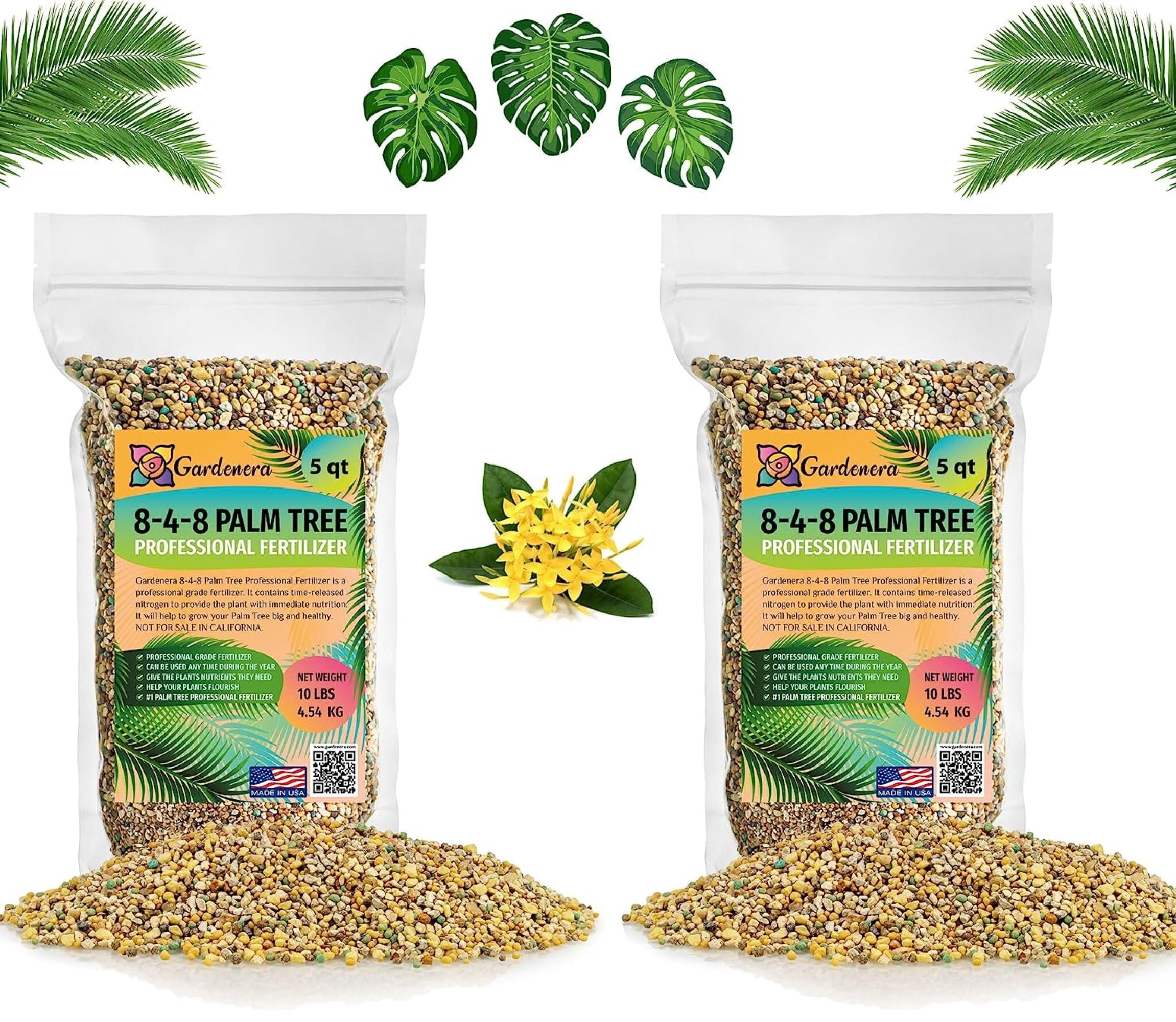 Gardenera 8 4 8 Fertilizer Unleash The Beauty Of Your Palms Ixora gardenera-8-4-8-fertilizer-unleash-the-beauty-of-your-palms-ixora