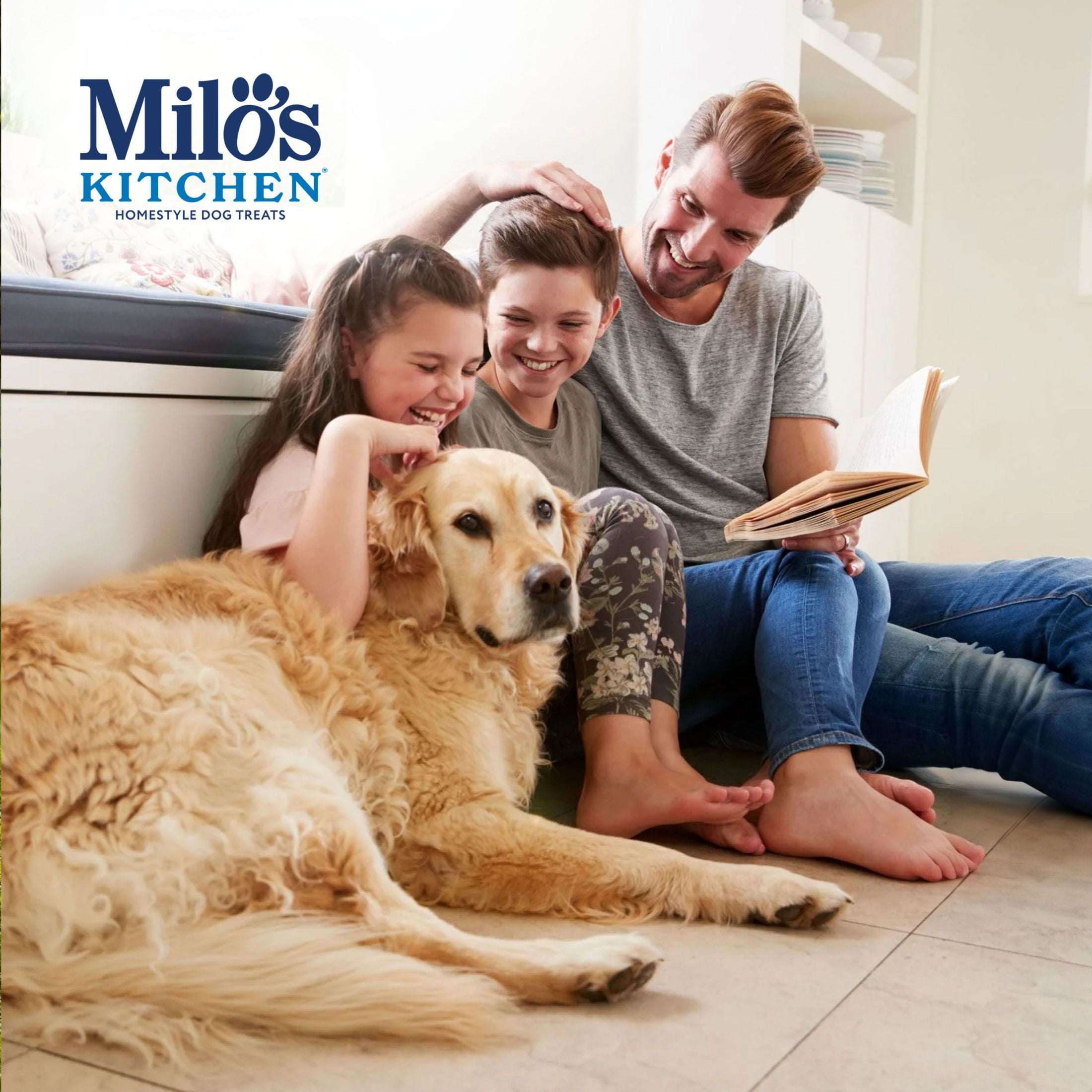 (2 pack) Milo’s Kitchen Chicken Jerky Recipe Dog Treats, 15 oz Bag