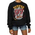thumbnail image 3 of Harry Potter Girls Gryffindor Seeker Sweatshirt, 3 of 5