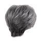 thumbnail image 4 of Peluca corta para mujer Color gris y , Cabello natural Postizos Pelucas pulgadas, de cosplay Ropa Resistente al calo Yinane Peluca de pelo de mujer, 4 of 8