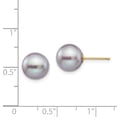 thumbnail image 3 of Primal Gold 14 Karat Yellow Gold 9-10mm Grey Round Freshwater Cultured Pearl Stud Post Earrings, 3 of 5