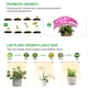 thumbnail image 3 of Luz de crecimiento de plantas, tiras de luz de crecimiento de plantas Luz de crecimiento de plantas Luz de crecimiento para plantas de interior Confiabilidad excepcional, 3 of 8