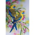 thumbnail image 1 of Taladro Pintura Diamante (DE5840) DIY Rose Birds Animal 5D Mosaico Kit Redondo Completo 50x70cm Azul FLhrweasw Nuevo, 1 of 1