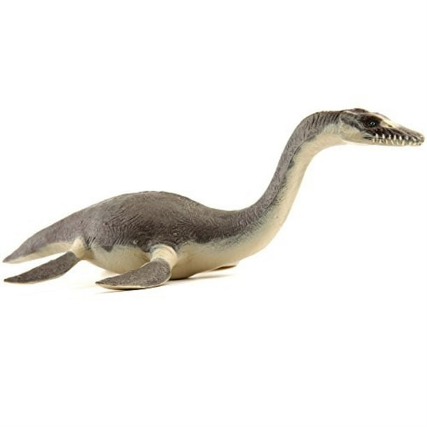 the plesiosaurus