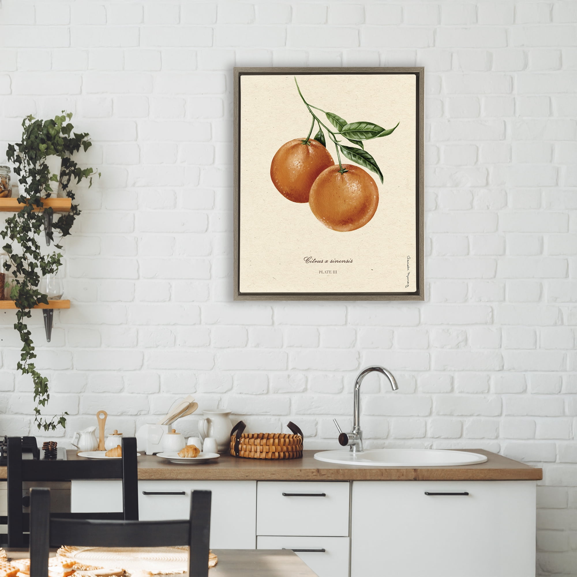 Stupell Industries Orange Fruit Portrait Brown Framed Floater Canvas Wall Art, design by Danielle Murray