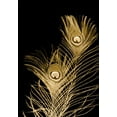 thumbnail image 2 of Johnson, Jason 14x18 Black Ornate Wood Framed with Double Matting Museum Art Print Titled - Plumes Dor II, 2 of 4