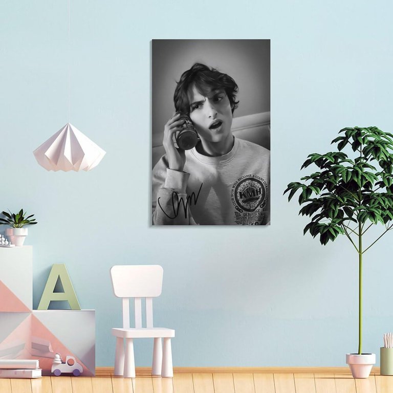 Black Whtie Funny Finn Wolfhard Signed Poster Prints Canvas Wall