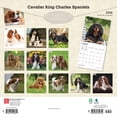 thumbnail image 2 of Cavalier King Charles Spaniels | 2026 12x24" (Hanging) Wall Calendar | Plastic-Free, 2 of 9