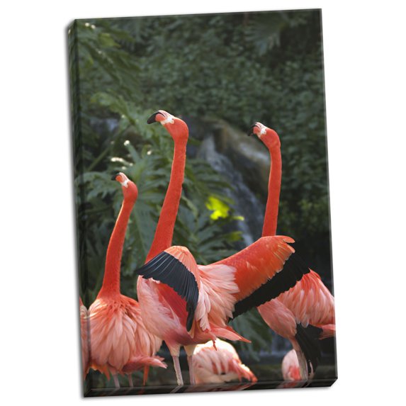 Gango Home Decor Flamingos I by Karyn Millet (Ready to Hang); One 24x36in Hand-Stretched Canvas