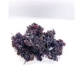 thumbnail image 6 of Purple Irish Sea Moss 100% Wildcrafted & Natural Chondrus Crispus - Organic Raw | Best Sea Moss for Gel & Smoothies | Vegan Diet, Clean & Sun Dried by Seaweed Kings No GMO - 1, 2 and 5 Lbs, 6 of 10