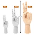 thumbnail image 2 of Modelo de Mano de Madera IHDYPPEW Paquete de 4 Unidades Flexible 30 cm, 2 of 7