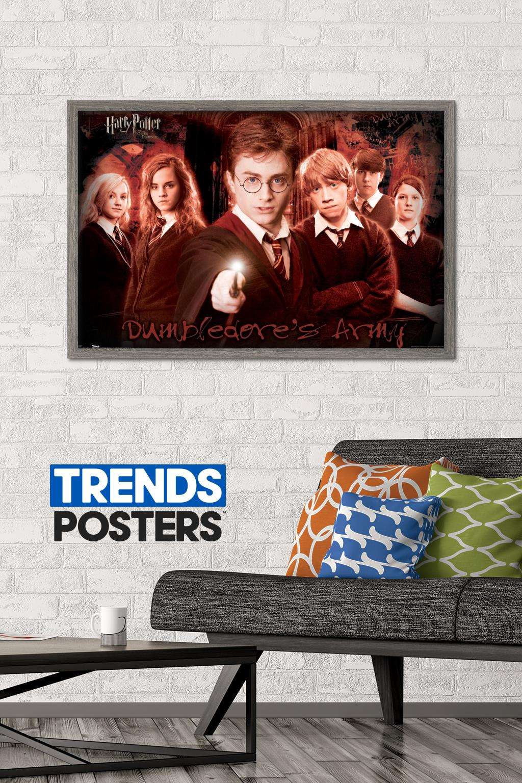 Harry Potter and the Order of the Phoenix - Group Wall Poster, 22.375" x 34", Framed