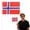 D4_6pc Norway Multicolor 8.27x11.81in, variant on Slovakia Hand Held Flag,10pc flags on sticks,yard flags with pole,Hand Held Stick Flags for Patriotic,Parades Parties National Flags,mini flags,flags outdoor decorations,festival celebration flags