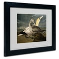 thumbnail image 3 of Trademark Fine Art "Gannets" Canvas Art by John James Audubon, Wood Frame, 3 of 5