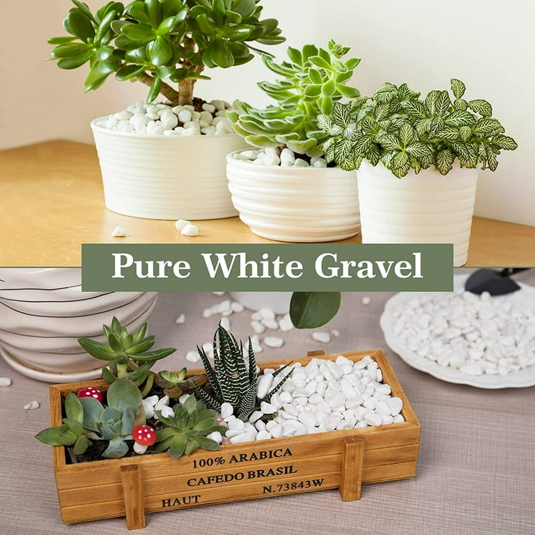 PGN White River Rocks for Plants - 15 Pounds - White Rocks with Smooth, Polished Surfaces - 1-3 inch Stones for Planters, Aquarium Decorations, Vase