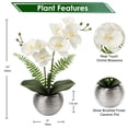 thumbnail image 2 of Orquídeas artificiales Briful White con jarrón plateado de 33 cm, 2 of 6