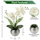 thumbnail image 2 of Orquídeas artificiales Briful White con jarrón plateado de 33 cm, 2 of 6