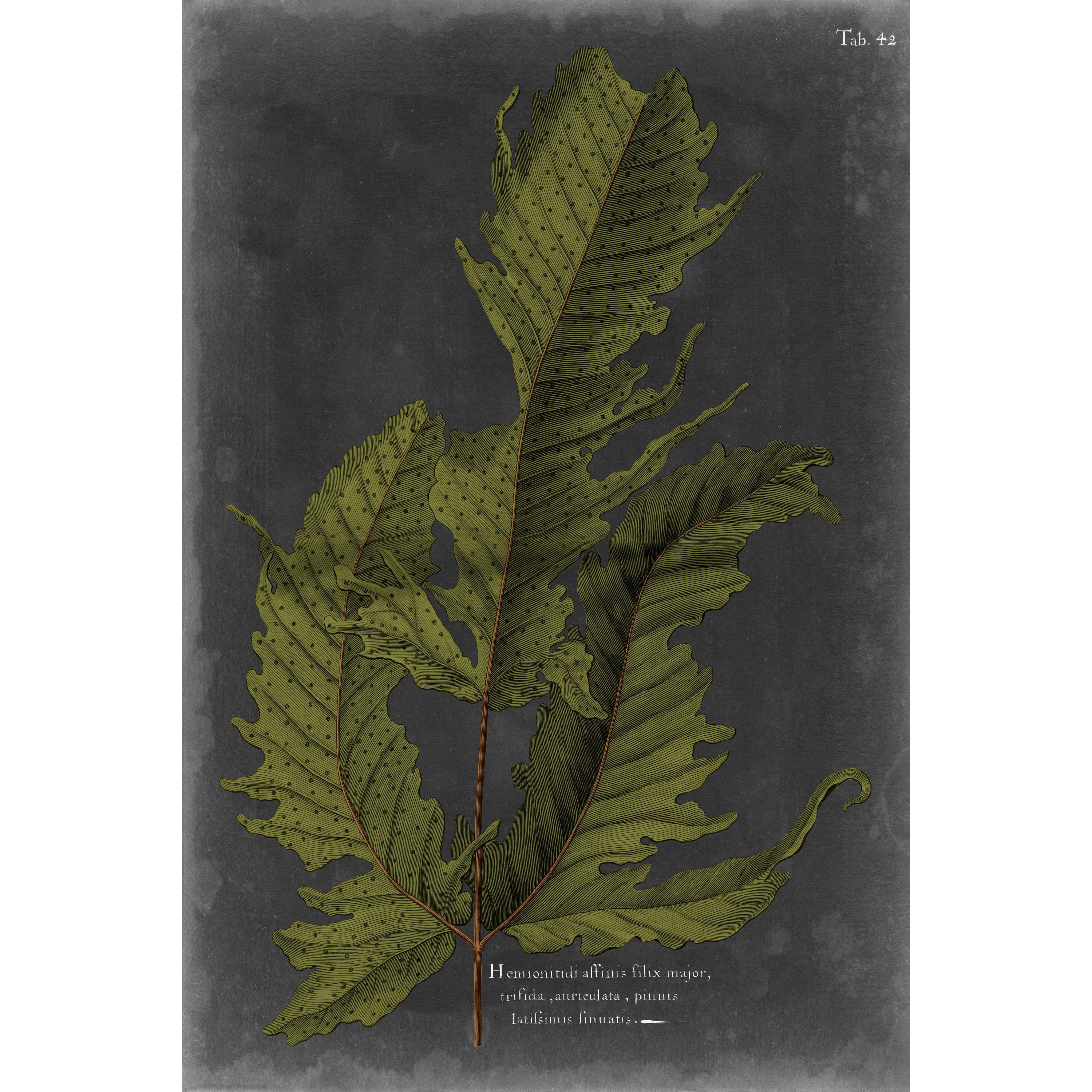 Marmont Hill "Foliage Dramatique I" Painting Print on Wrapped Canvas