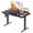 Black, variant on CONCETTA Electric Height Adjustable Desk, 55"x24" Ergonomic Sit Stand Workstation, One-Touch Lift Home Office Desk, Oak