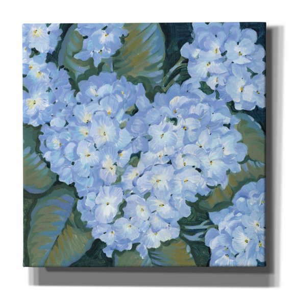Epic Graffiti 'Blue Hydrangeas II' by Tim O'Toole, Canvas Wall Art, 18"x18"