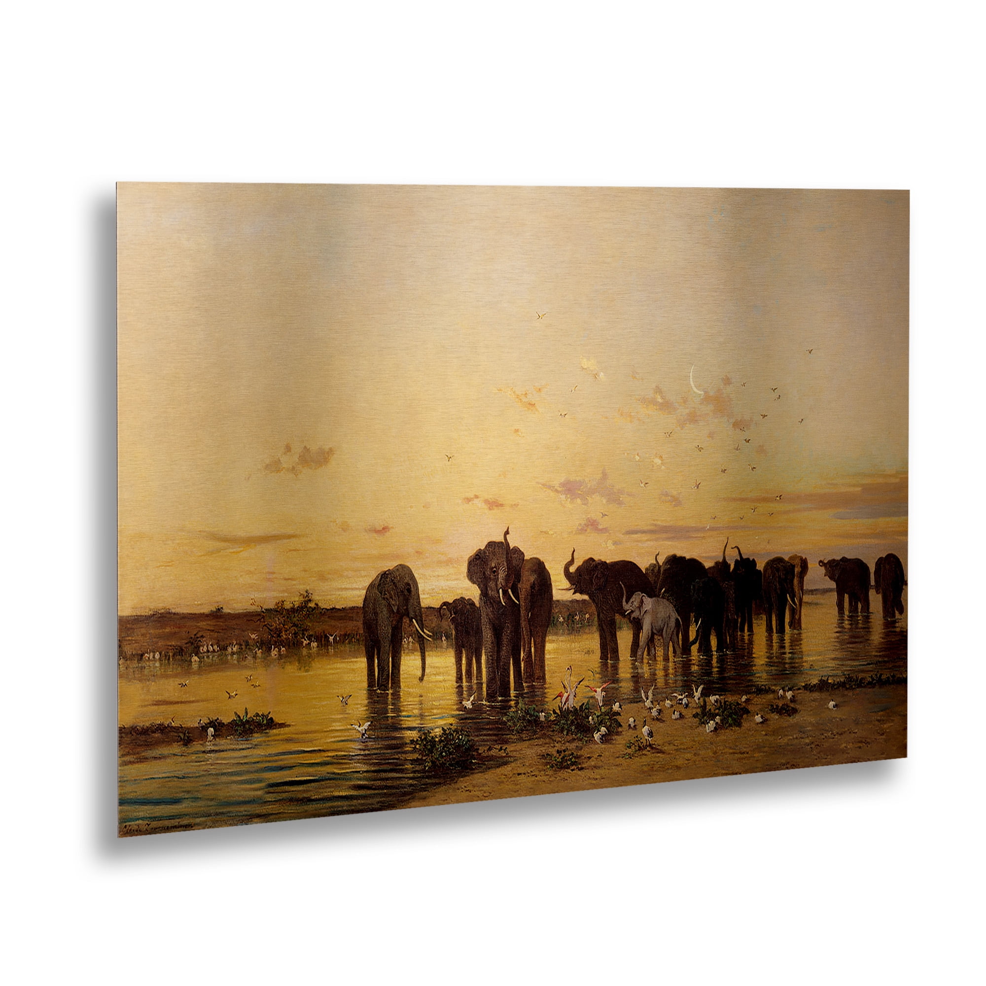 Trademark Fine Art 'African Elephants' Brushed Aluminum Wall Art Art by Charles Emile de Tournemine