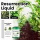 thumbnail image 1 of Fluido para crecimiento de plantas fertilizante líquido | Potenciador de crecimiento rápido | Suplemento de recuperación para plantas de interior y exterior, verduras | Estimula la recuperación | 3, 1 of 7