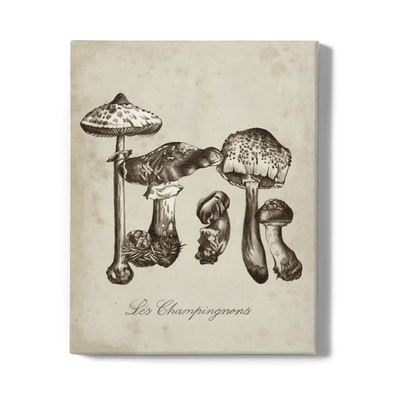 Les Champignons Wrapped Canvas -Naomi McCavitt Designs,