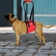 thumbnail image 4 of Arnés de tracción para ayuda a la movilidad para mascotas discapacitadas, talla S, andador de asistencia para perros mayores, 4 of 8