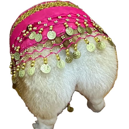 Dog Belly Dancer Skirt Bling Belly Dance Hip Scarf for Corgis Dog Waist Wrap with Sequins Adjustable Puppy Pet Dancing Dress Costumes for Halloween Parties Celebration Performance (Pink)-dh