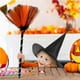 thumbnail image 3 of Injueey Escoba de para Halloween, herramientas de Cosplay para actuación, accesorios de decoración para el hogar, suministros de Kits de decoración para fiestas No.1, 3 of 5
