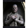 thumbnail image 3 of NECA momia faraón egipcio antiguo monstruo Universal versión en Color modelo de figura móvil de 7 pulgadas, 3 of 5